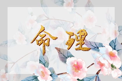 择吉老黄历|择吉黄历每日宜忌|择吉日查询